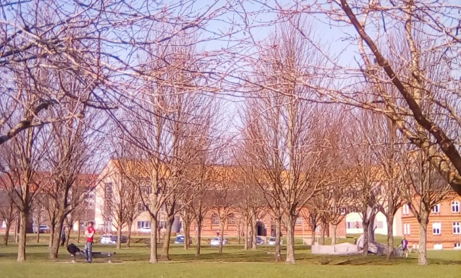 Research into intercultural&nbsp;managers